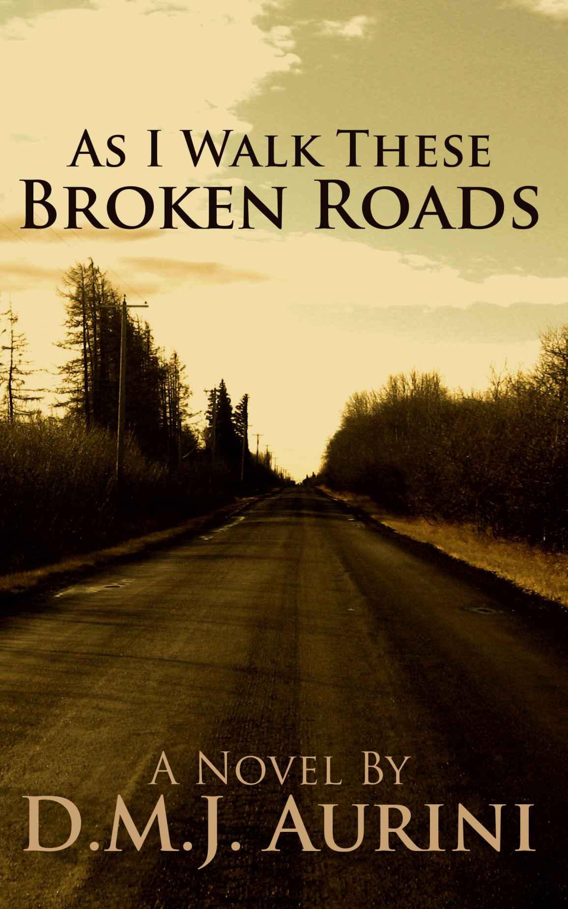 Broken roads steam фото 101