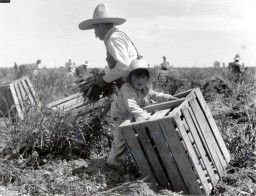 Mexican laborers